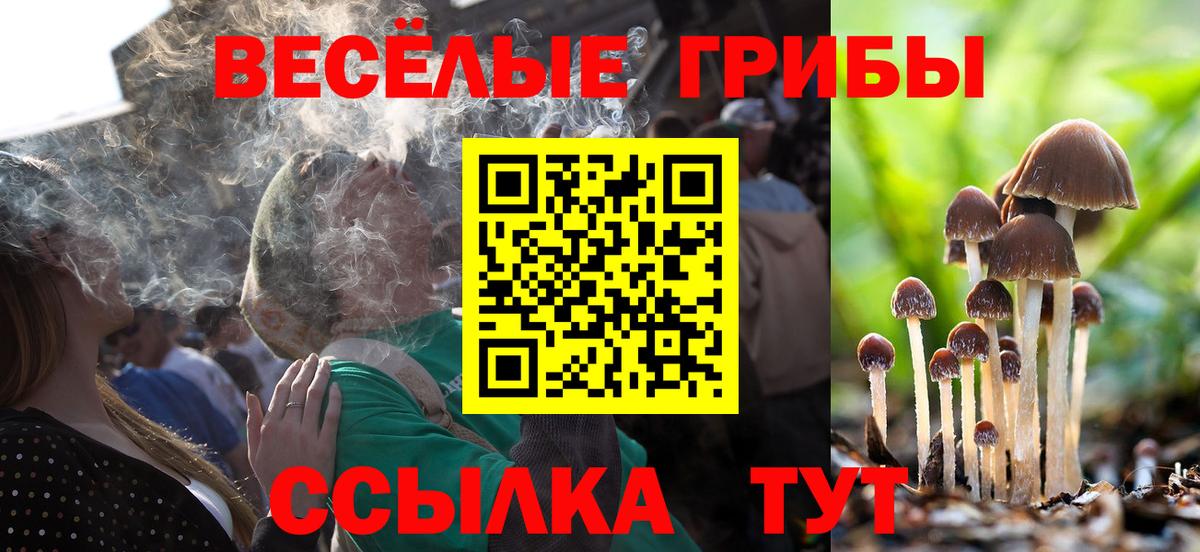Галлюциногенные грибы Psilocybine cubensis Каменск-Уральский