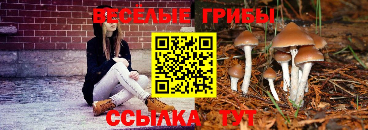 Каменск-Уральский  Псилоцибиновые грибы мухоморы  Вход с VPN 